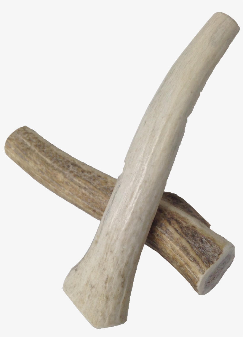 5 Whole Antler - Wood, transparent png download