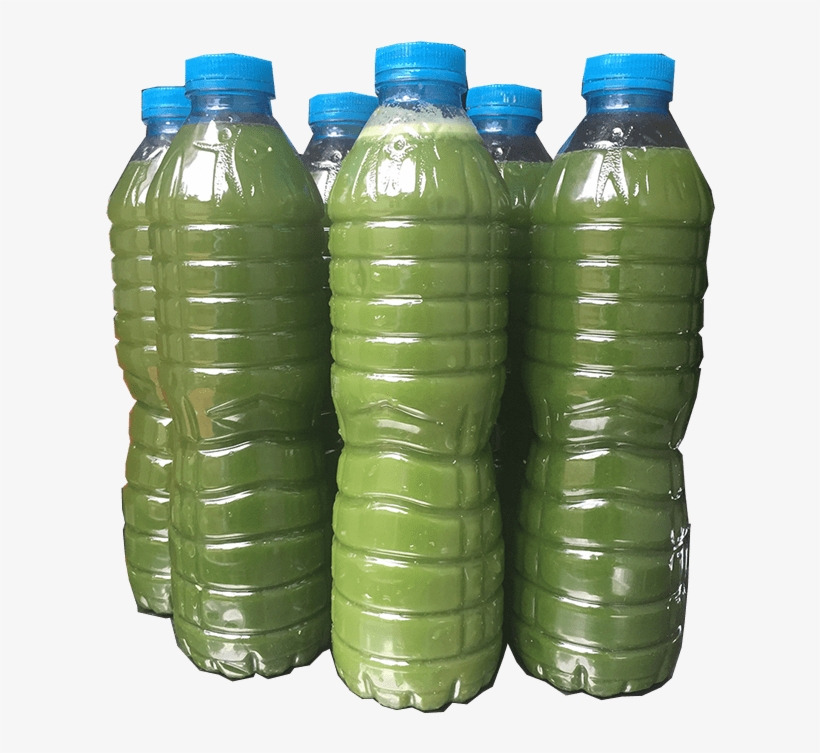 High Performance Immunotherapy Wellness Juice Organic - Plastic Bottle, transparent png download