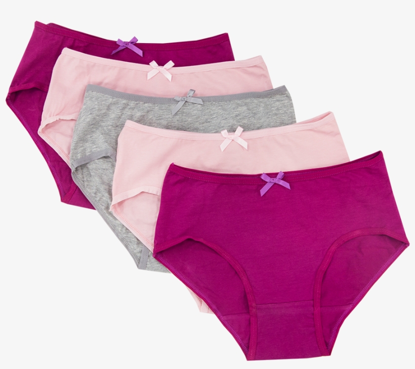5 Pack Mono Dog Ladies Midis - Panties, transparent png download