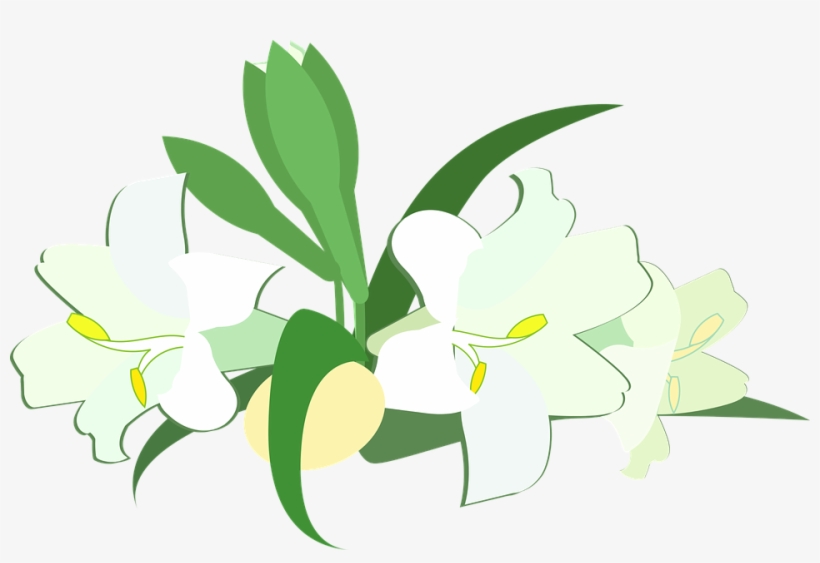 Easter Lily Png - Lily, transparent png download