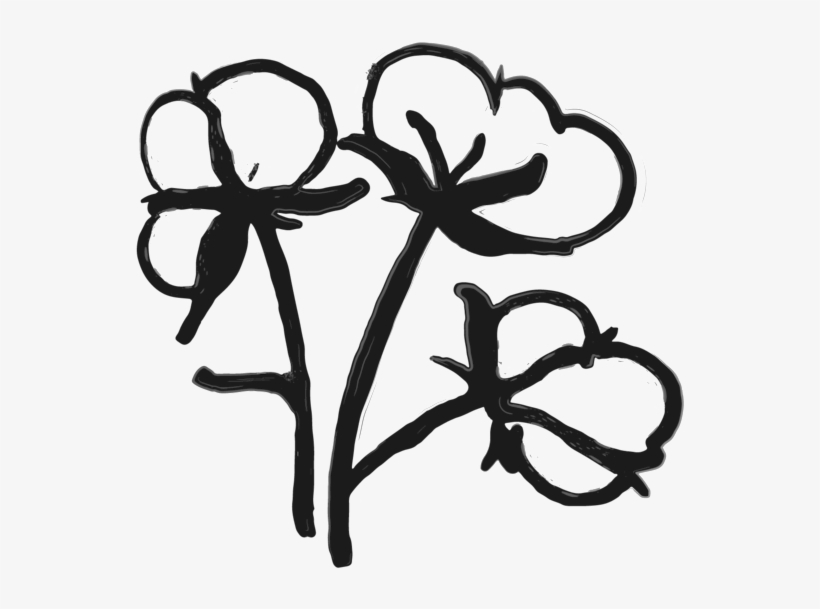 Cotton Clipart Cotton Flower, transparent png download