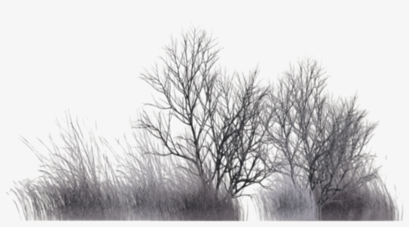 #ftestickers #nature #landscape #trees #branches #silhouette - Monochrome, transparent png download