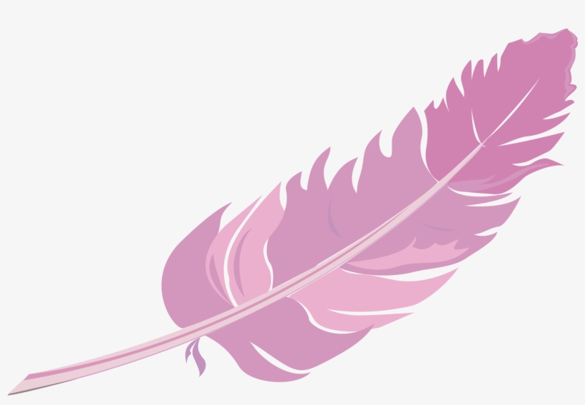 Feather Vector Png - Picsart Sticker Feathers Hd, transparent png download