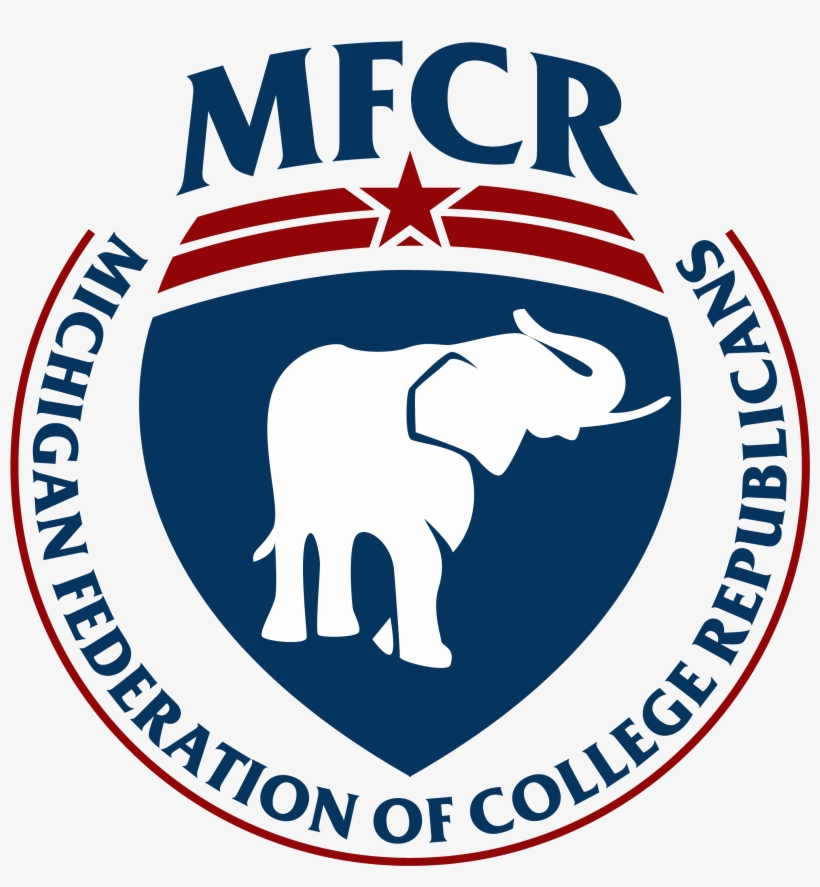 Mfcr - Indian Elephant, transparent png download