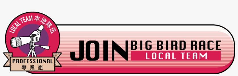 The Big Bird Race - Parallel, transparent png download