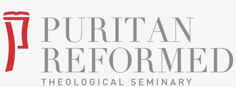 Puritan Reformed Theological Seminary - Something Borrowed Movie Poster, transparent png download