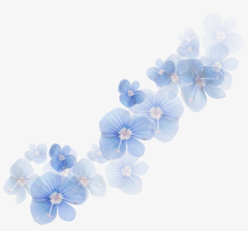 Transparent Blue Flower Transparent Background - Imagenes Bonitas De Color, transparent png download