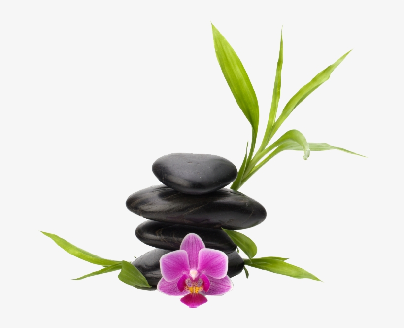 About Us - Orchid Spa Png, transparent png download