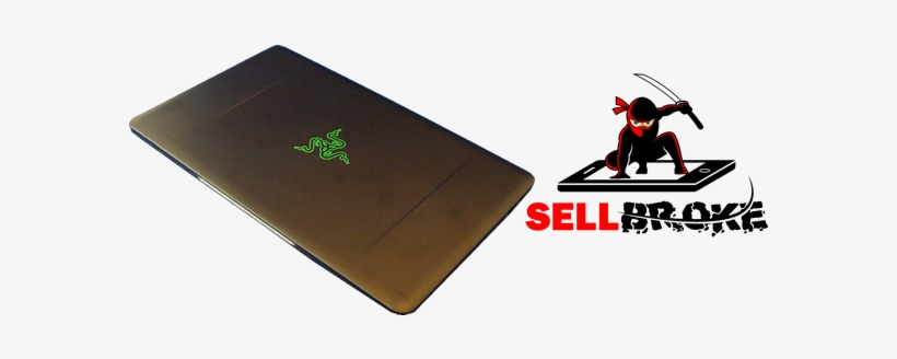 Razer Blade Stealth - Surfing, transparent png download
