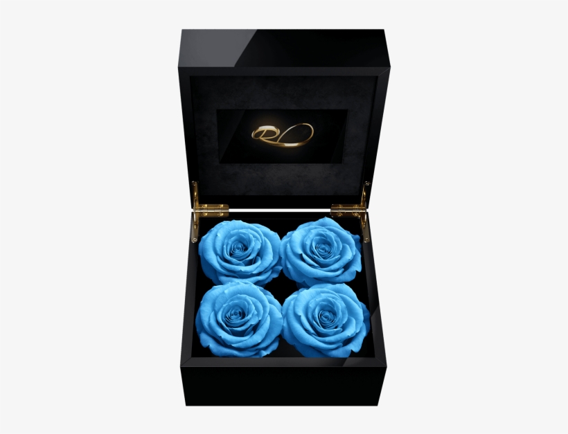 Luxury Video Flower Box Majestic Iv With 4 Preserved - Flower Box, transparent png download