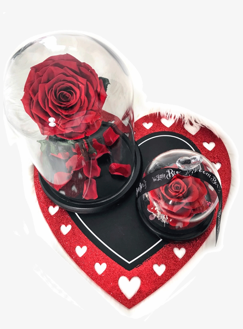 No Beast - Garden Roses, transparent png download