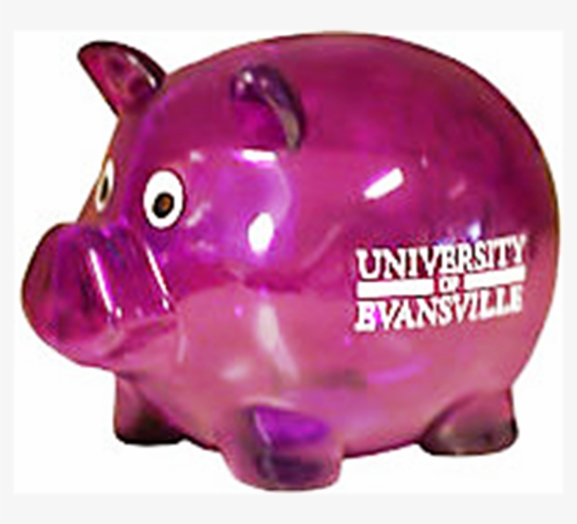 Plastic Piggy Bank - Domestic Pig, transparent png download