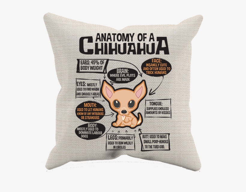 Cushion, transparent png download