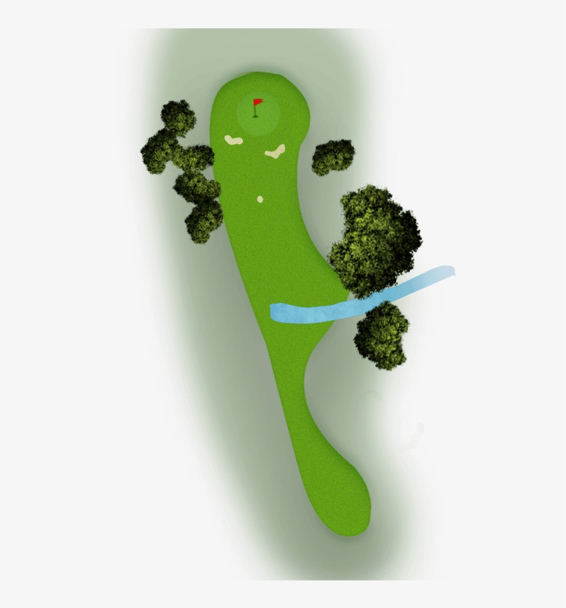 Map-6 - Gambel Oak, transparent png download