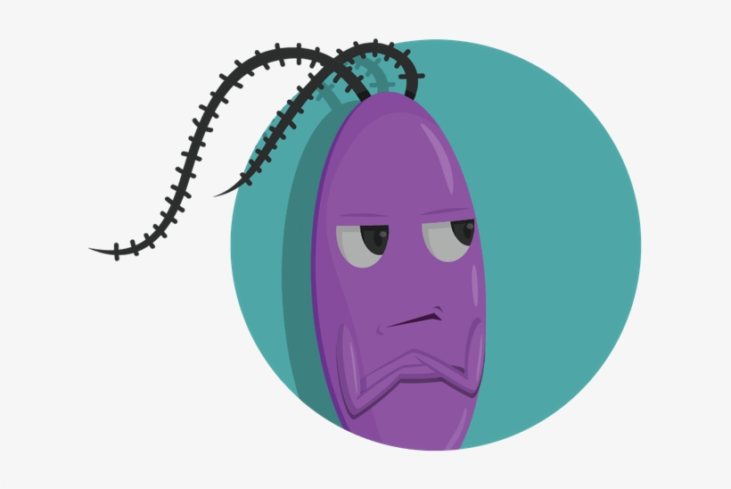 Plankton Avatar Generator - Illustration, transparent png download