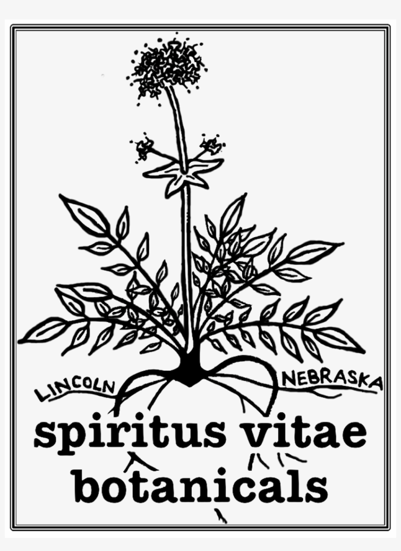 846 X 1122 2 - Floral Design, transparent png download