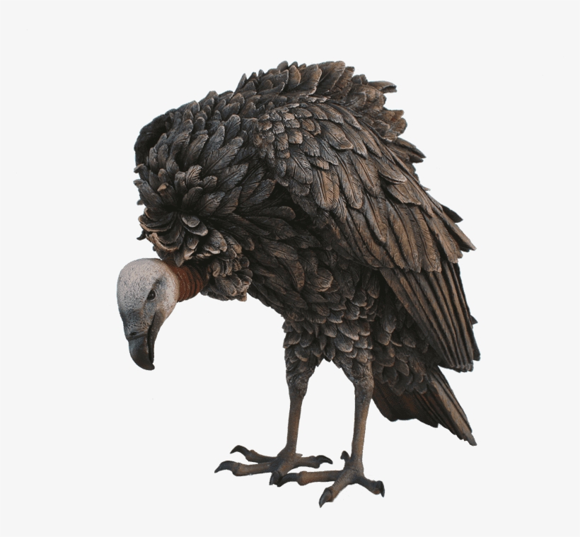 Download Bird Vulture Animal Prop Life Size Resin Statue Vulture