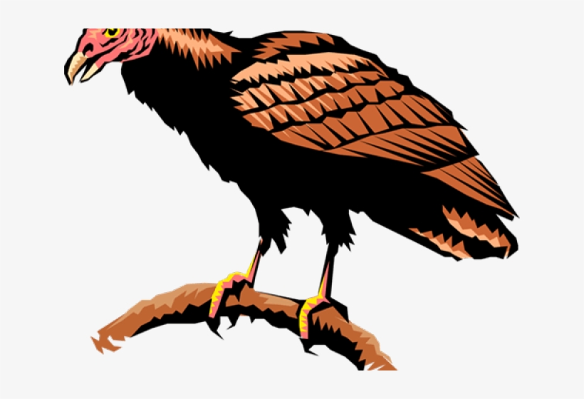 Turkey Vulture Clipart, transparent png download