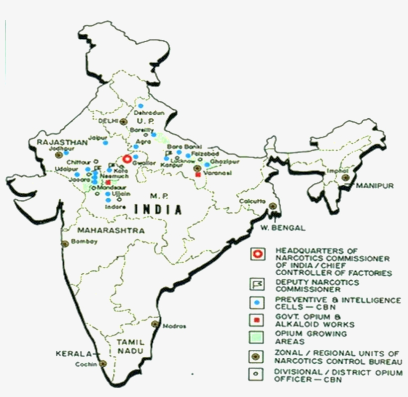 Opium Production In India - Opium Grown In India, transparent png download