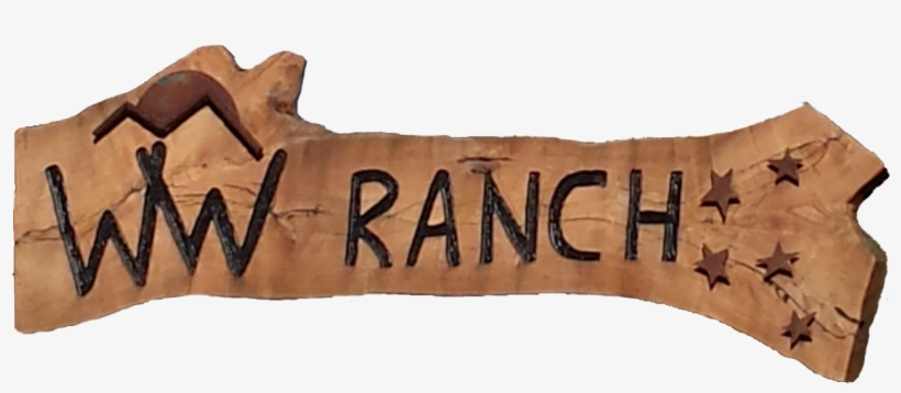 Ww Alpaca Ranch Is Located On Highway 79 At The Northern - Wood, transparent png download