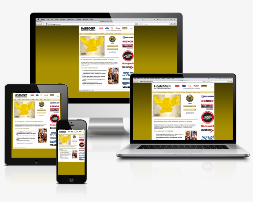 Responsive Website Design - Curso De Cavaquinho Com Dudu Nobre, transparent png download