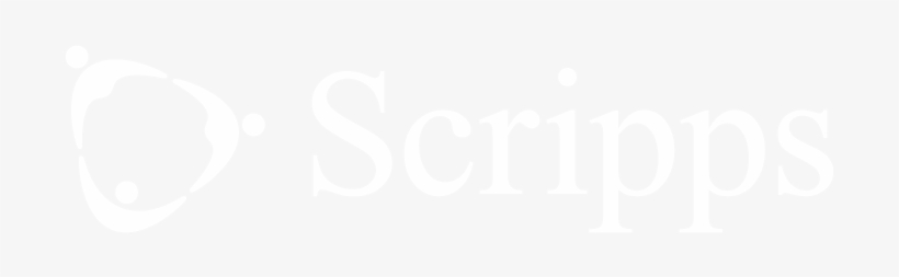 We Get Many Crash Cart Trays Checked Within A Few Minutes - Toronto Film Festival Logo White, transparent png download