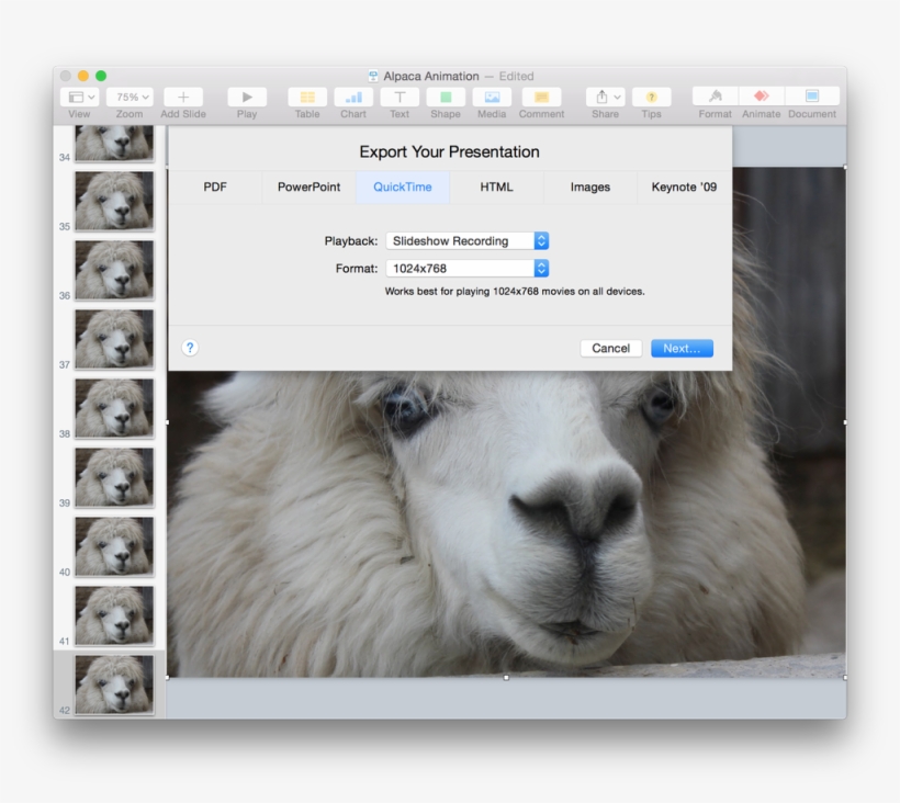 Screen Shot 2015 06 01 At - Llama, transparent png download