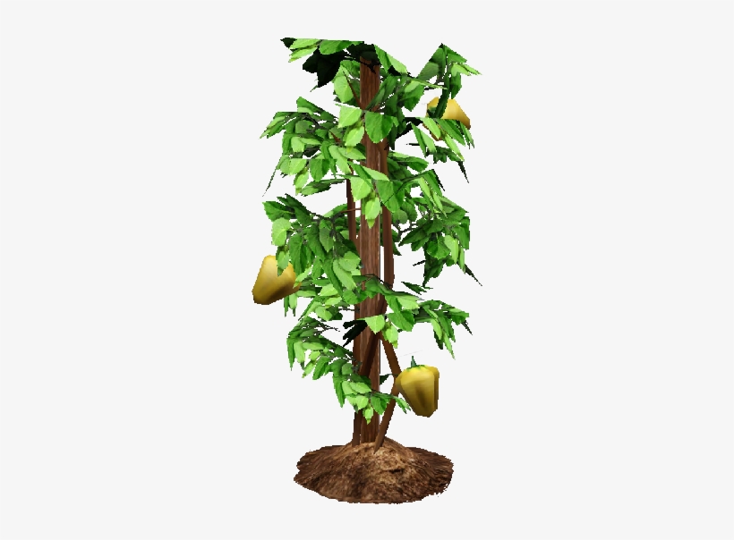 Bell Pepper Plant Png - Bell Pepper Plant Transparent, transparent png download