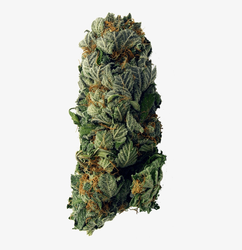 Weed Vertical 400 Min - Cbd Oil Meme Funny, transparent png download