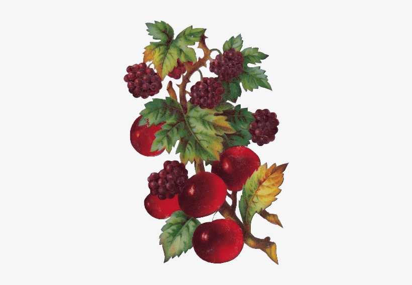 Zoom Diseño Y Fotografia - Portable Network Graphics, transparent png download