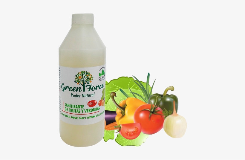 Sus Propiedades Limpiadoras Y Microbicidas Aseguran - Vegetable, transparent png download