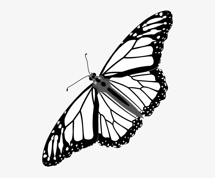 Monarch Butterfly Bw No Shadow Clip Art - Flying Monarch Butterfly Black And White, transparent png download