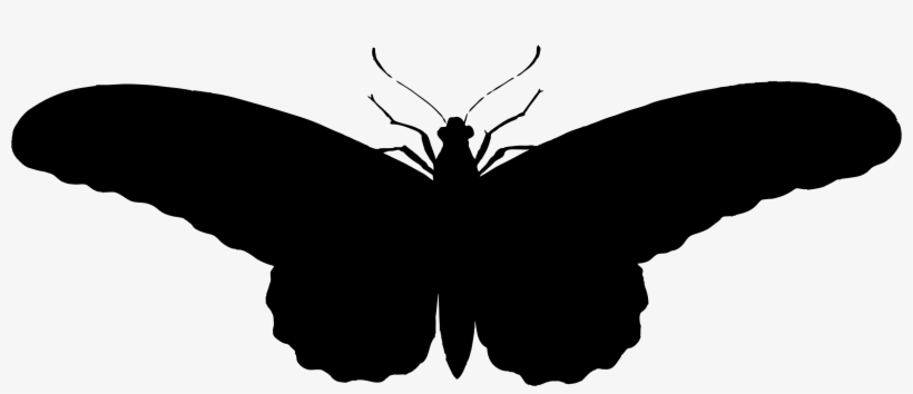 Illistration Clipart Butterfly Silhouette - Butterfly Silhouette Hd, transparent png download