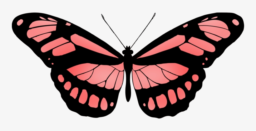 Monarch Butterfly Insect Brush-footed Butterflies Drawing - Red Butterfly Clipart, transparent png download