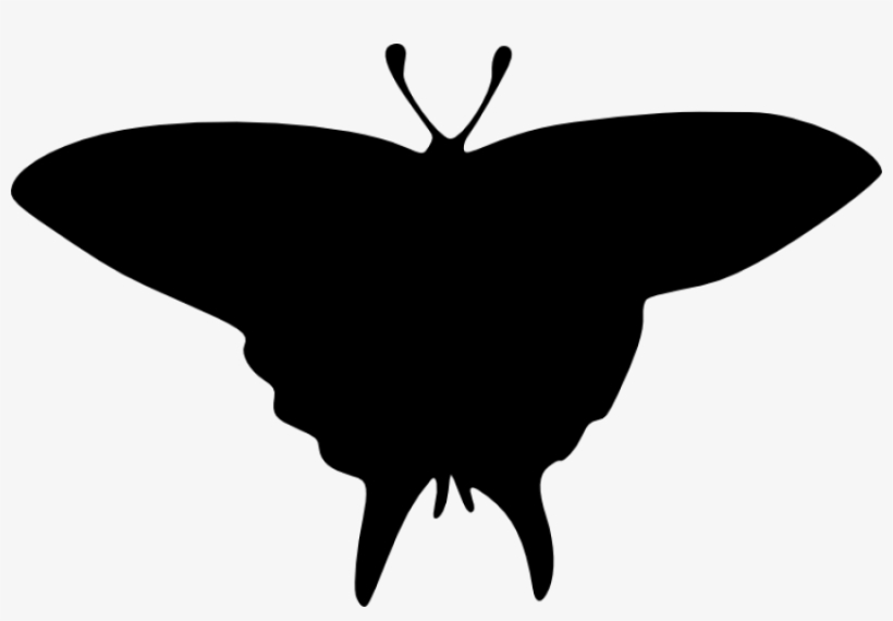 Free Png Butterfly Silhouette Png Images Transparent - Portable Network Graphics, transparent png download