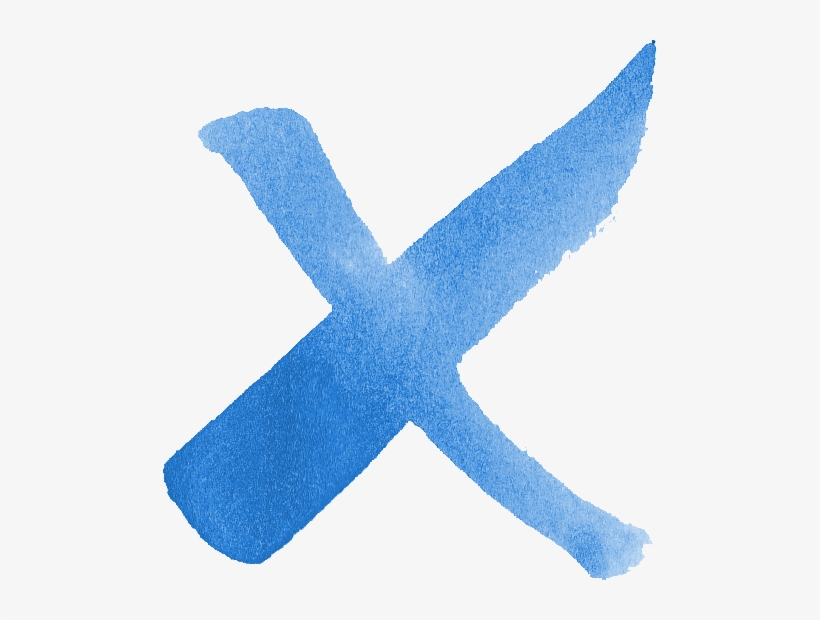 Free Download - Seabird, transparent png download