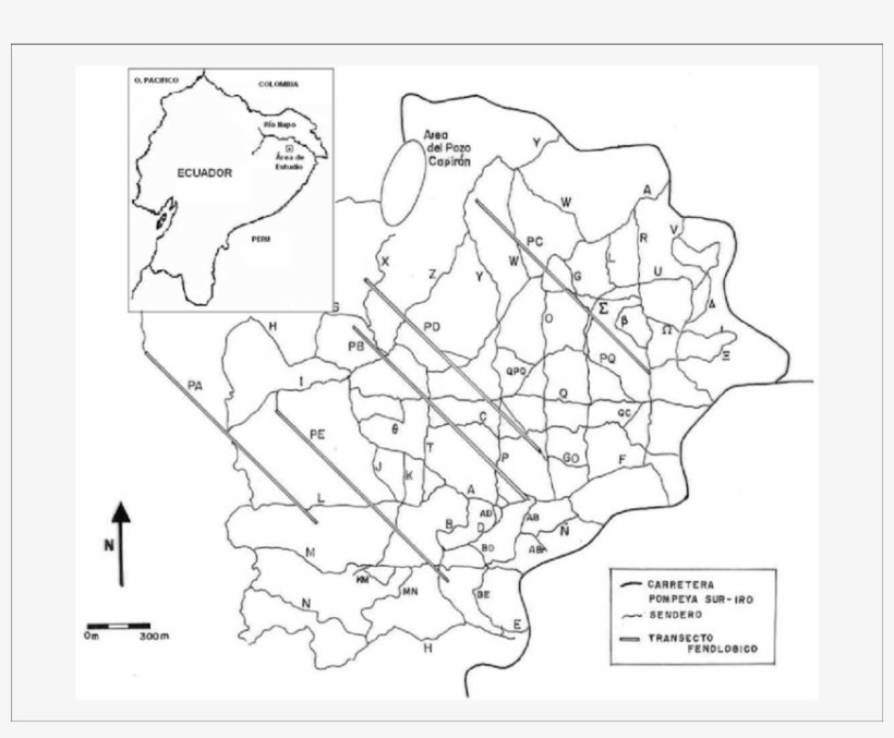 Sistema De Transectos Del Área De Estudio - System, transparent png download
