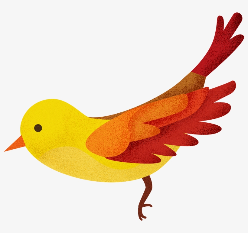 Patterns For The Inside Of Each Book I Created A Specific - Canary, transparent png download