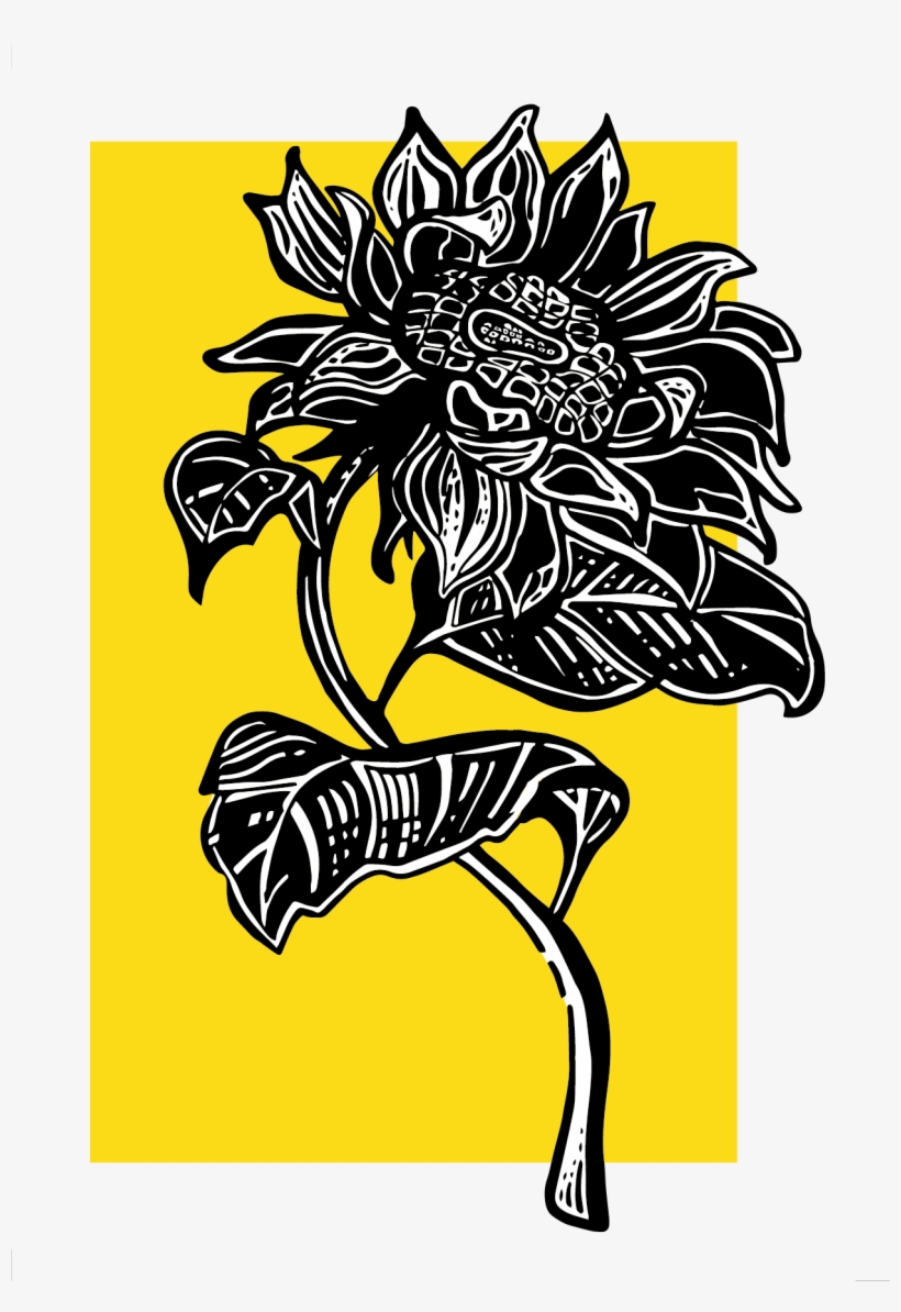 Floral Summer Inspiration - Illustration, transparent png download