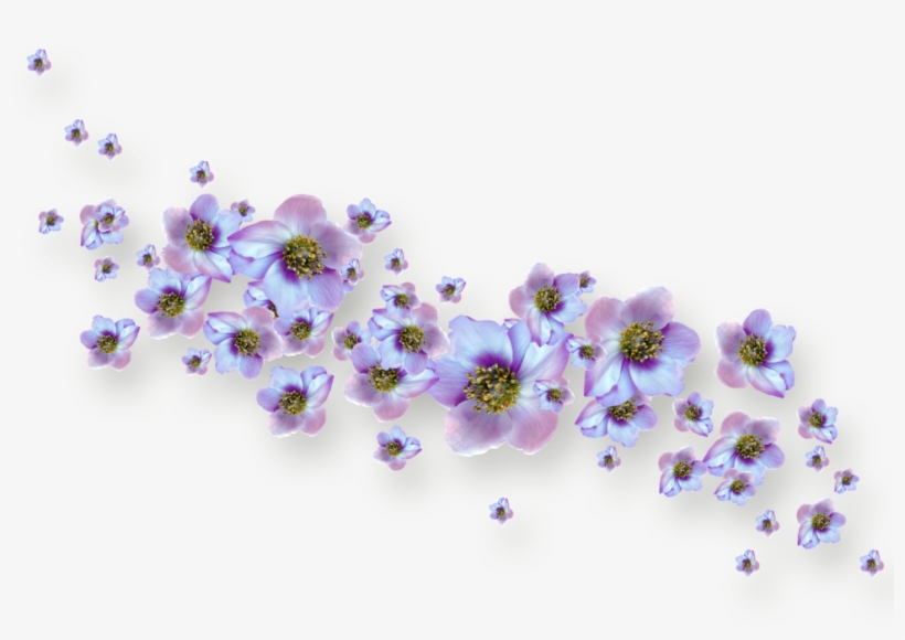 Floral Theme Photo Quality, Floral Theme, Tube, Clip - Portable Network Graphics, transparent png download