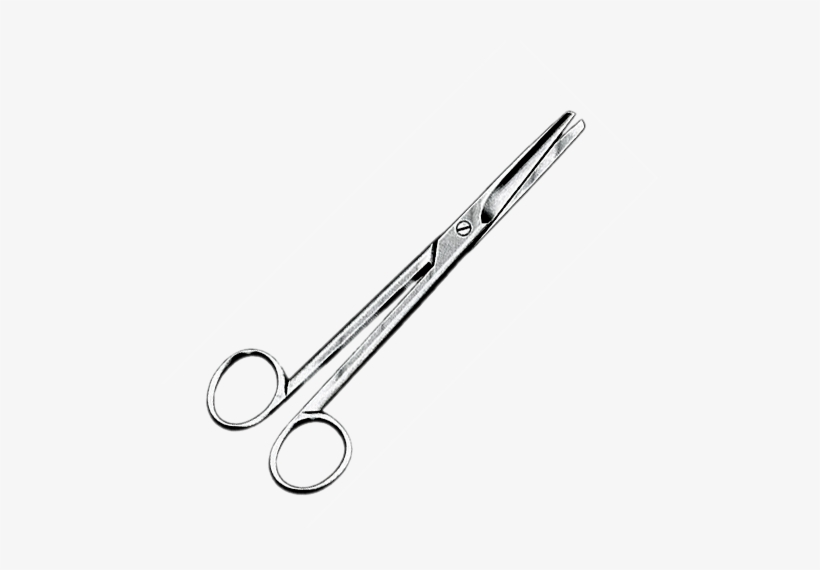 Tijera Mayo Recta - Mayo Scissors, transparent png download