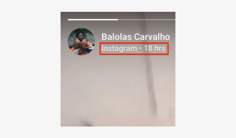 6 Sep - Animal, transparent png download