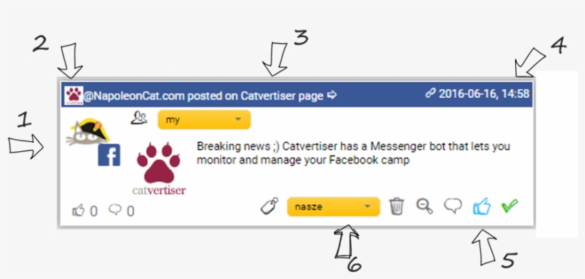 Facebook, Instagram And Twitter Content In One Social - Napoleon Cat, transparent png download