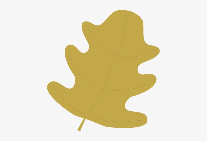 Fall Clip Art - My Cute Graphics Leaves, transparent png download