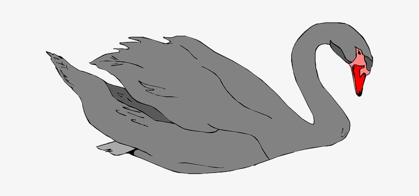 Black, Bird, Wings, Long, Swan, Neck, Feathers - Black Swan Clipart, transparent png download