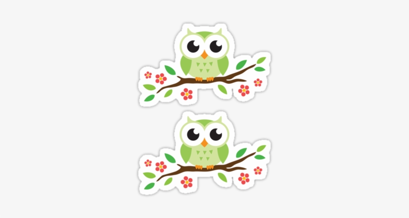 Cartoon Owls Cute - Cute Green Cartoon Owl, transparent png download