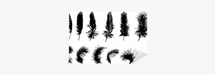 Twelve Black Feathers Isolated On White Background - Clementine And Claudia By Piper Milton, transparent png download
