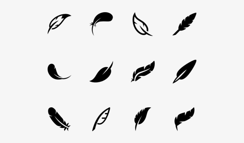 Parrot Feathers Png - Feather, transparent png download