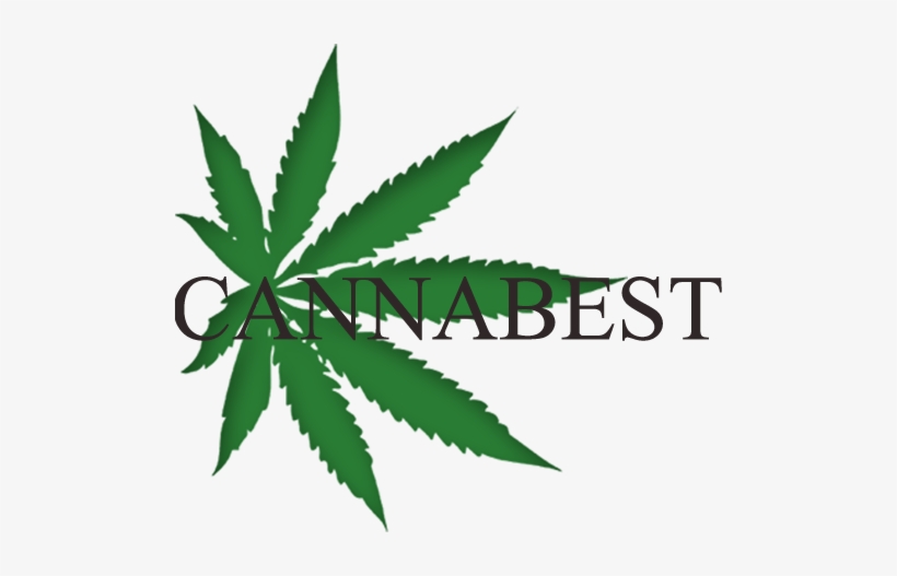 Home - Cannabis, transparent png download