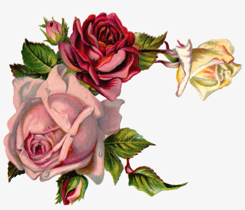Vintage Flower Graphic Png, transparent png download